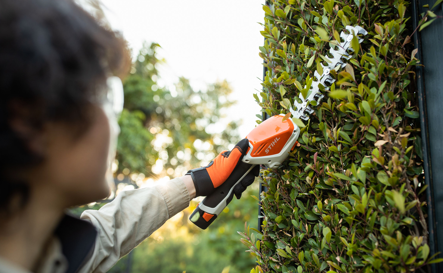 Preparing your garden for Spring