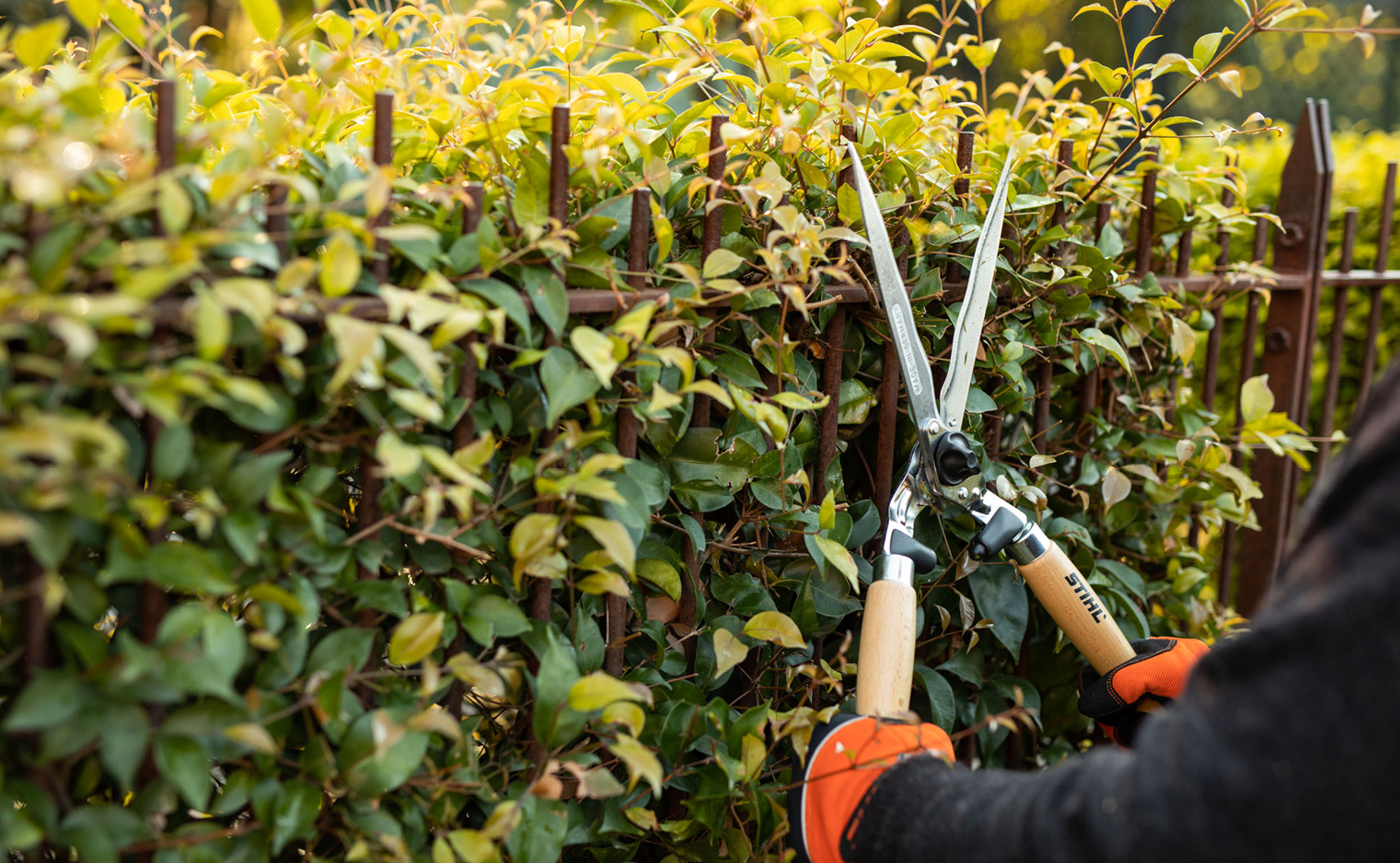 Preparing your garden for Spring