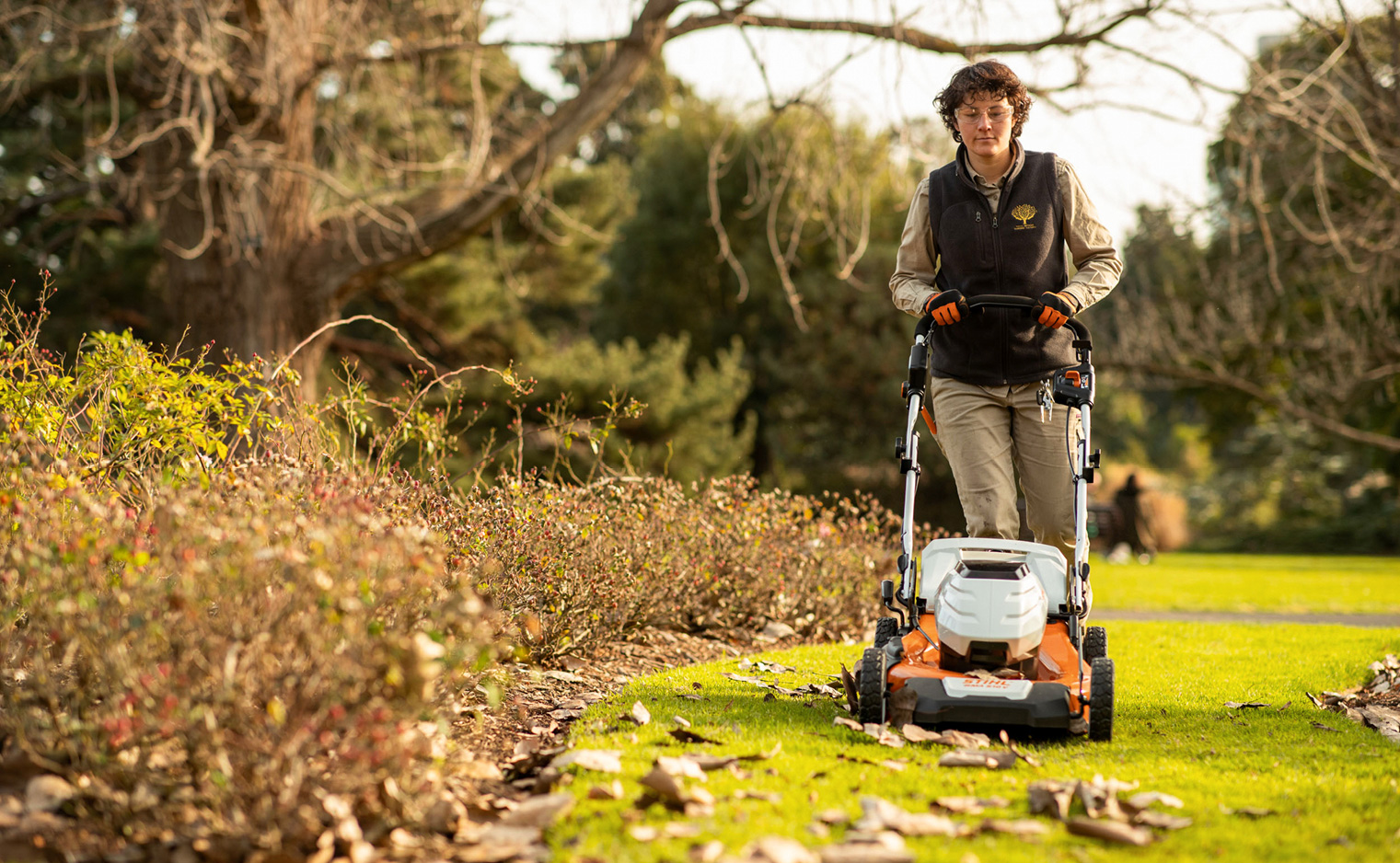 Preparing your garden for Spring