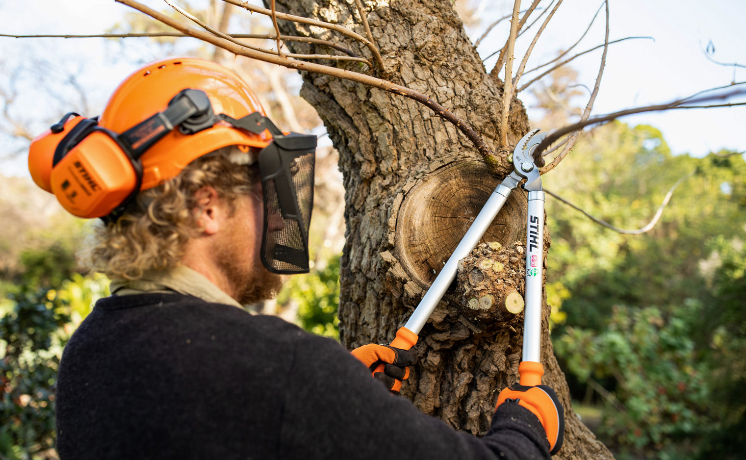 Preparing your garden for Spring