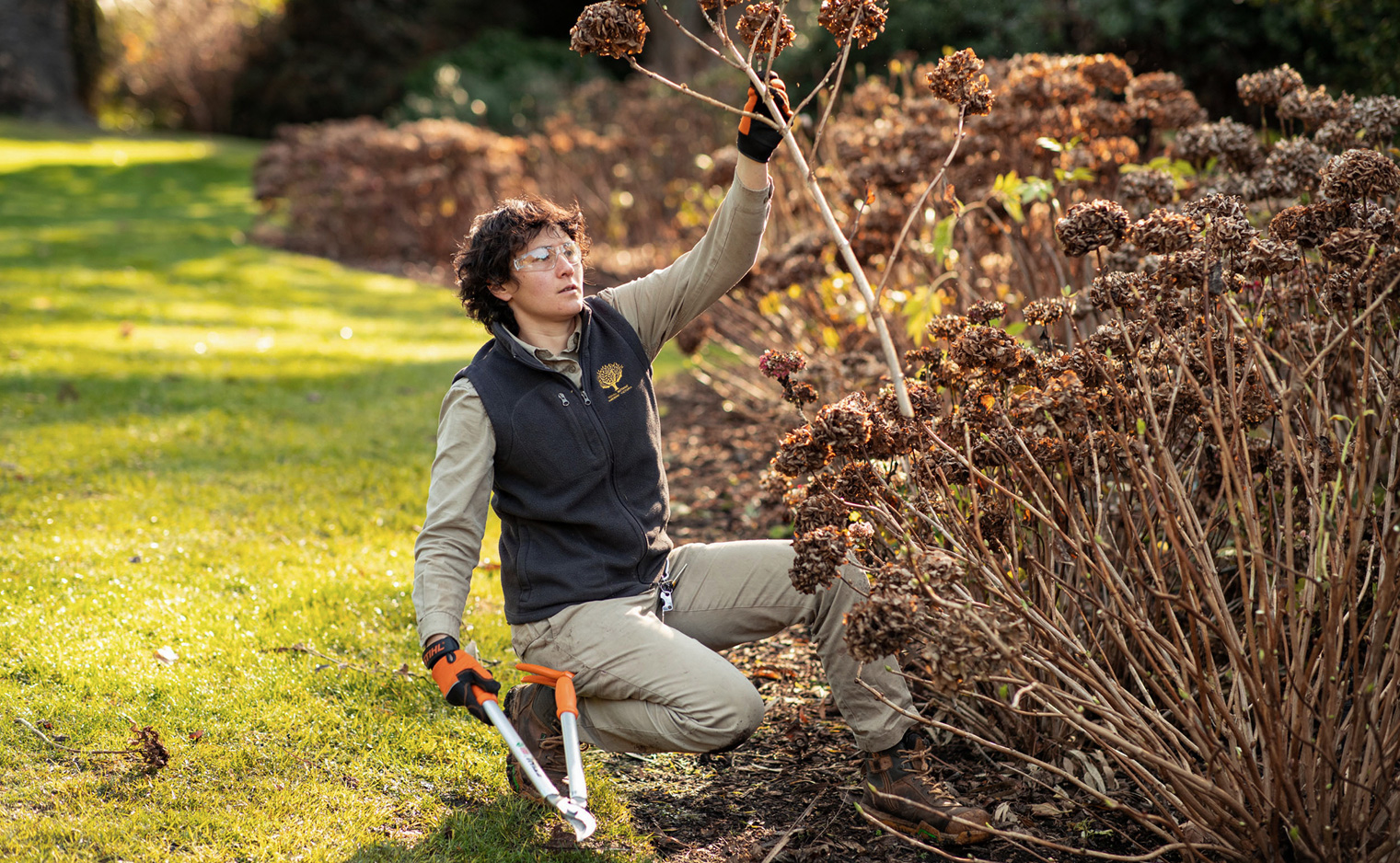 Preparing your garden for Spring