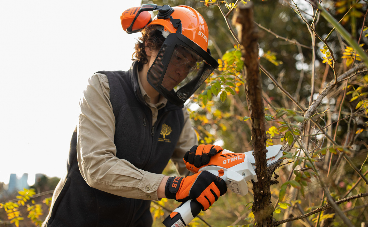 Preparing your garden for Spring