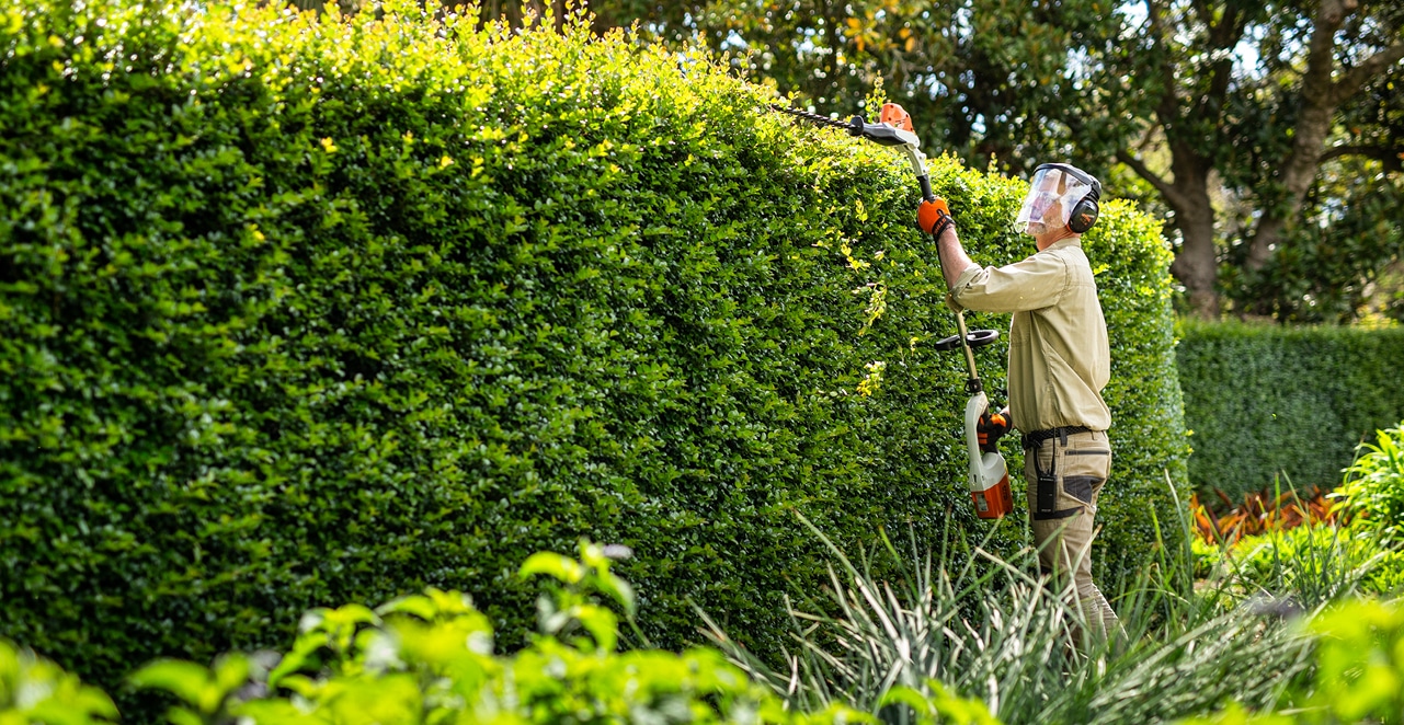 Hedge Care With The Royal Botanic Gardens Victoria - Stihl Blog