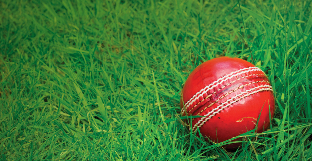 Create The Ultimate Cricket Pitch At Home This Summer - STIHL Blog