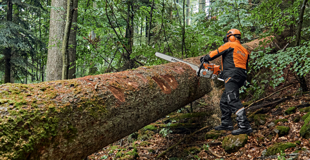 Introducing The New MS 881 Magnum Chainsaw STIHL Blog