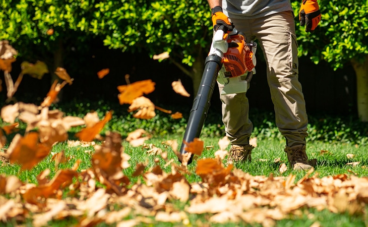 Top Tips to Improve Your Curb Appeal with Trevor Cochrane - STIHL Blog