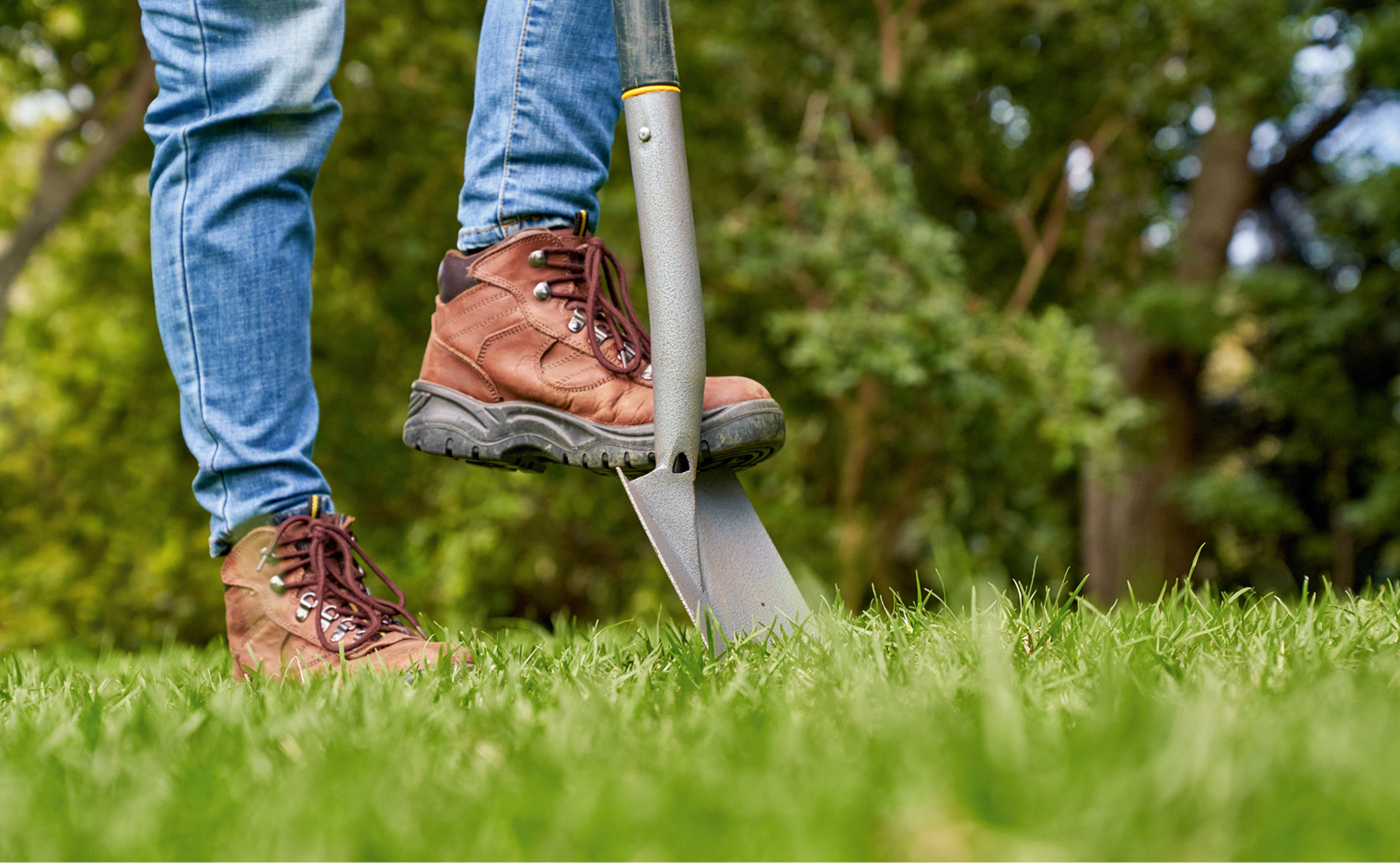 A Guide To Summer Lawn Care - STIHL Blog