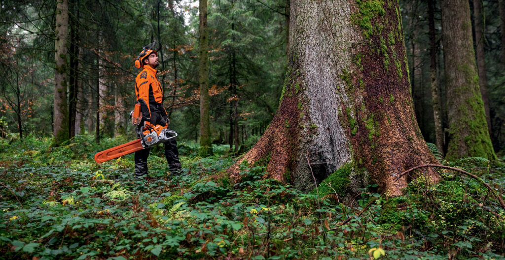 STIHL Innovating Chainsaw technology STIHL Blog