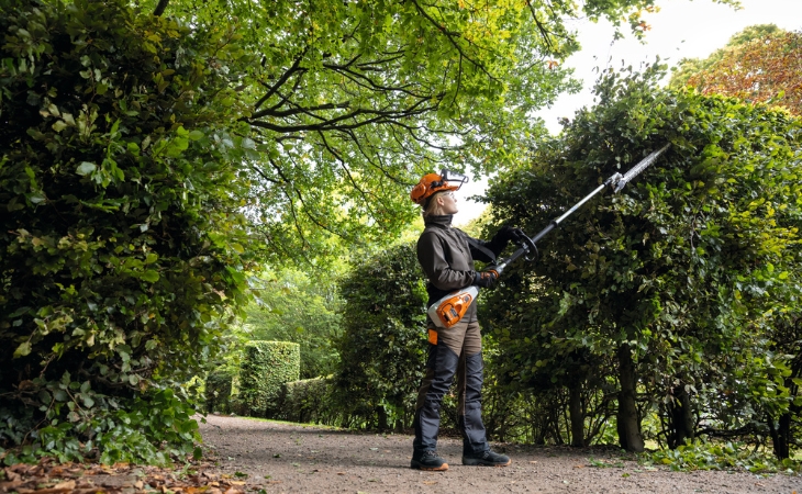 Stihl battery long reach hedge online cutter