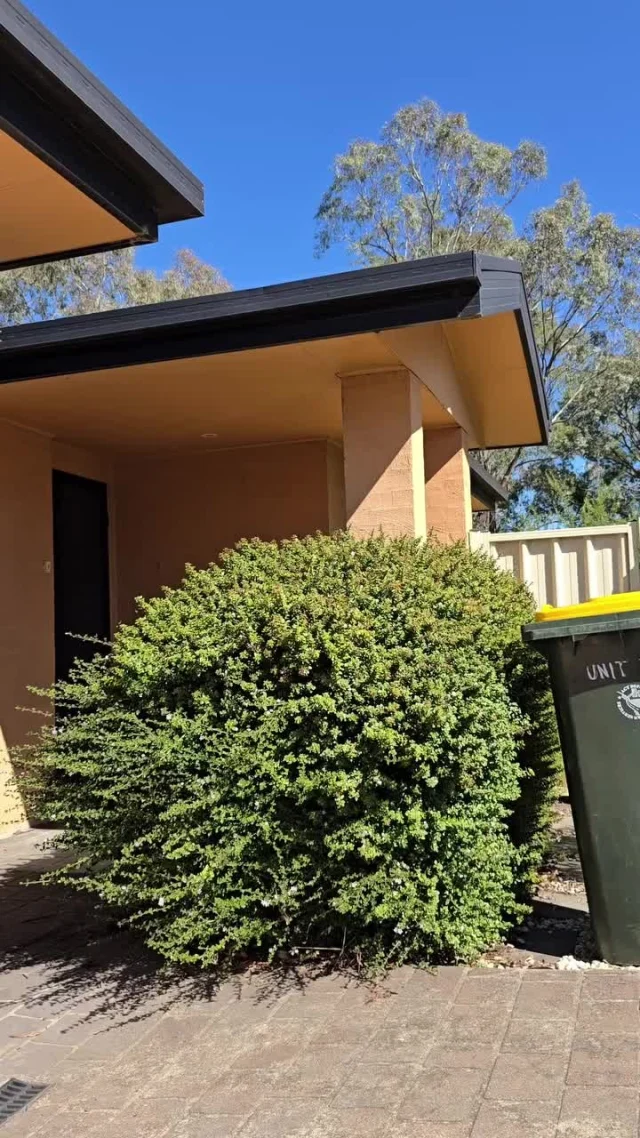 Craftsmanship at its finest 🛠️

 @smithbrosgm shows us what dedication and the right tools can achieve.

#STIHLAustralia #STIHLWorks