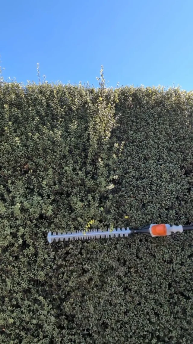 A cut above the rest! ✂️ @morningsidelawncare demonstrates how STIHL tools make all the difference.

#STIHL #STIHLAua #STIHLFans #STIHLInAction