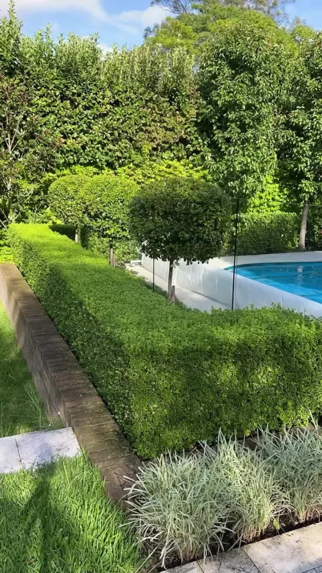 Garden inspo with @blossom_lawnsandgardens. Using STIHL tools to achieve that perfect, crisp, clean finish every time.

#STIHLAu #STIHLFans #GardenGoals #LawnInspo