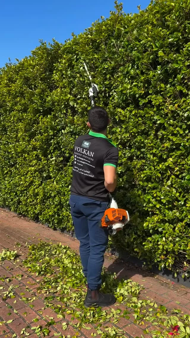 Strong tools. Skilled hands. 
@volkangardenservices proves STIHL delivers results on every job.
Show us your STIHL in action with #STIHLMade!