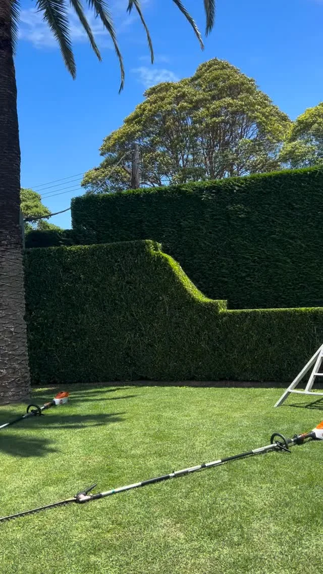 Hedge care isn’t just for one season. Cooler months mean slower growth, while warmer weather calls for more frequent trims. 

Stay consistent year-round for healthy, thriving hedges. @beecraftlandscape shows off the clean finish STIHL Hedgecutters deliver.

Got results like this? Share them with #STIHLMade.