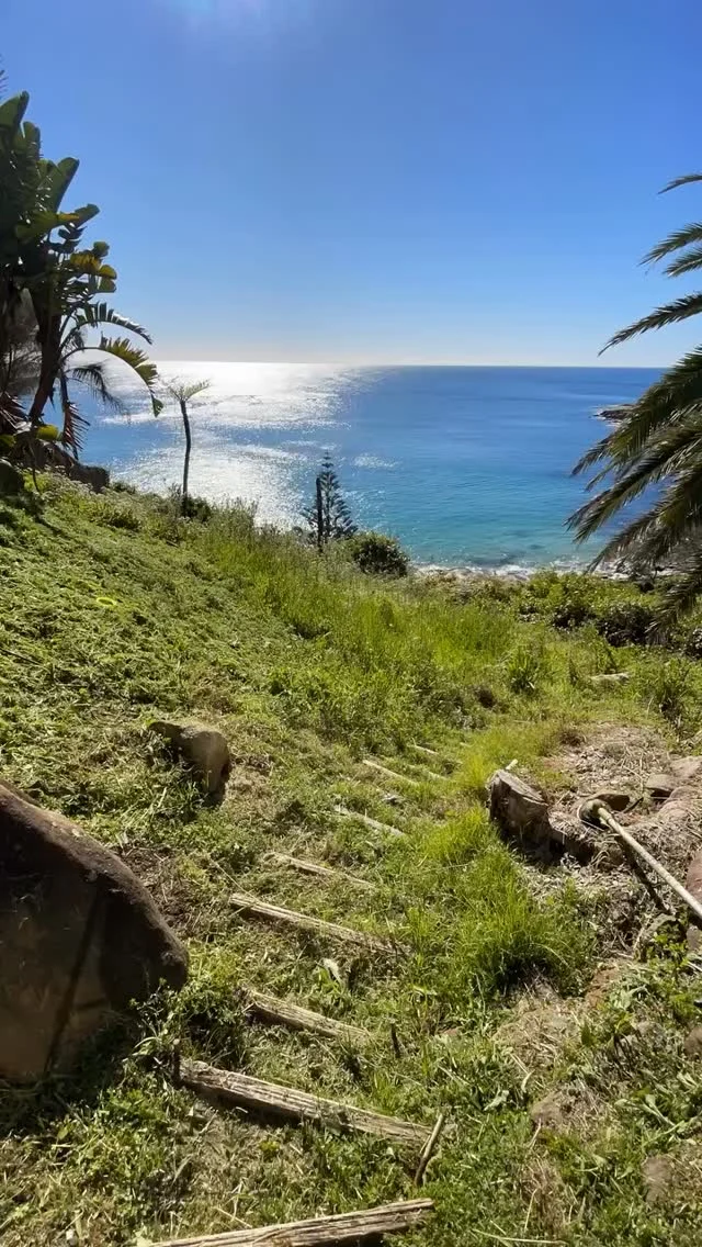 Another day on the tools, and a view that makes it all worth it.

@beachesgardentherapy proving every job site can be a masterpiece when precision leads the way.

Show us where your work takes you with #STIHLMoments